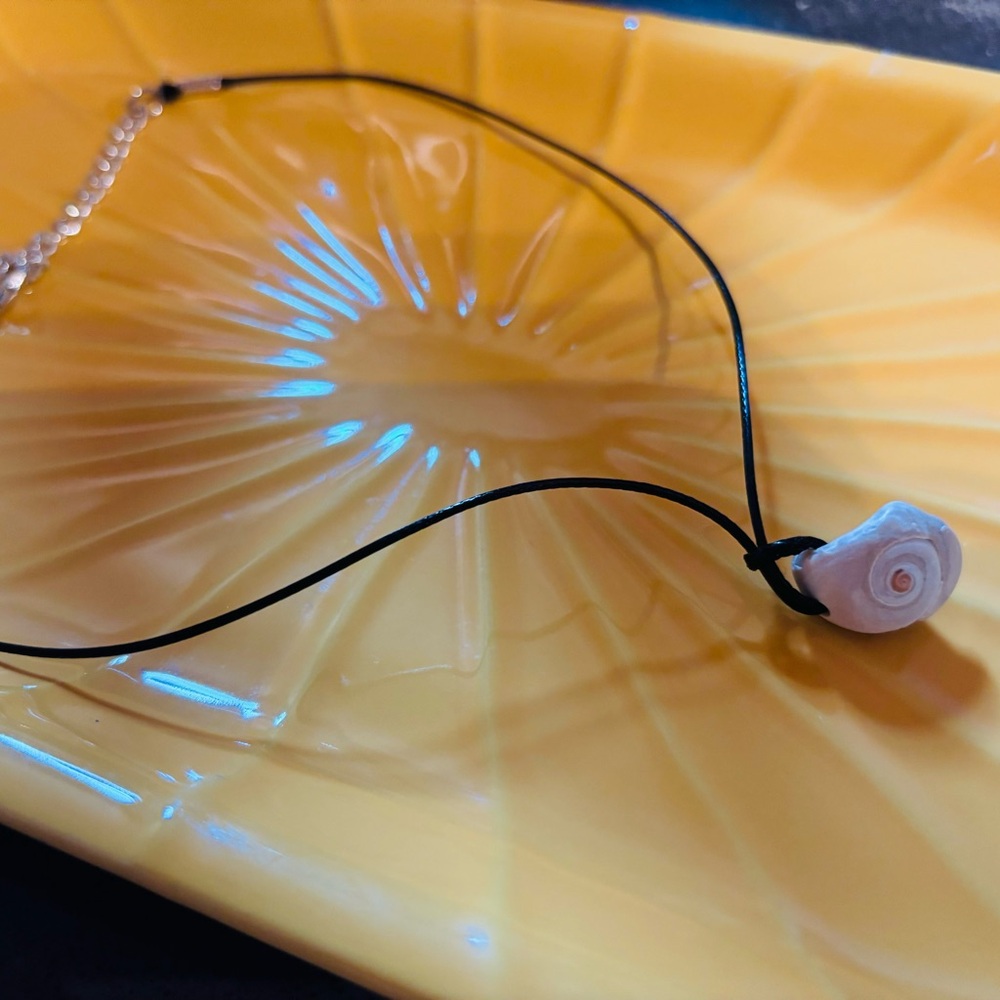 🆕 Carolina Sea Shell Swirly Choker Necklace - Picture 12 of 14
